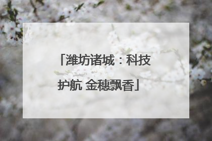 潍坊诸城：科技护航 金穗飘香