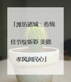 潍坊诸城：传统佳节绽新彩 美德孝风润民心