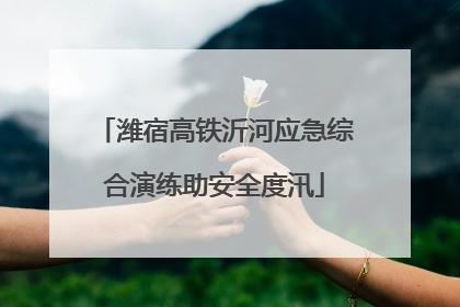 潍宿高铁沂河应急综合演练助安全度汛