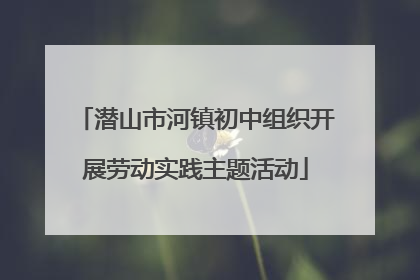 潜山市河镇初中组织开展劳动实践主题活动