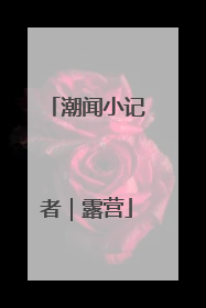 潮闻小记者｜露营