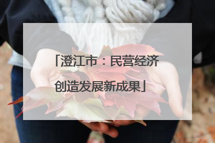 澄江市：民营经济创造发展新成果