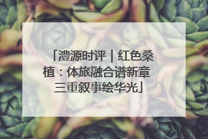 澧源时评｜红色桑植：体旅融合谱新章 三重叙事绘华光