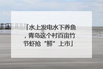 水上发电水下养鱼，青岛这个村百亩竹节虾抢“鲜”上市