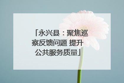 永兴县：聚焦巡察反馈问题 提升公共服务质量