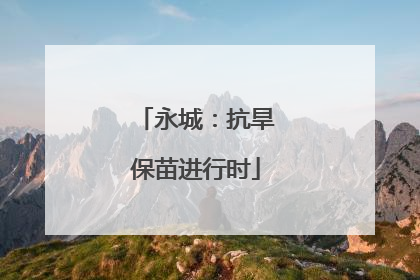 永城：抗旱保苗进行时