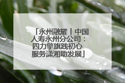 永州融耀丨中国人寿永州分公司：四力擎旗践初心 服务潇湘助发展