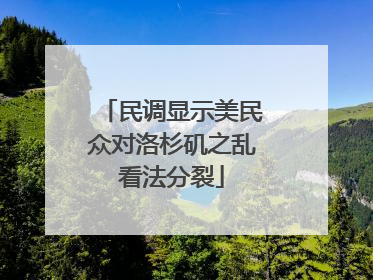 民调显示美民众对洛杉矶之乱看法分裂