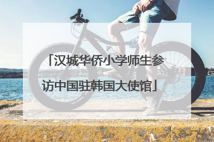汉城华侨小学师生参访中国驻韩国大使馆