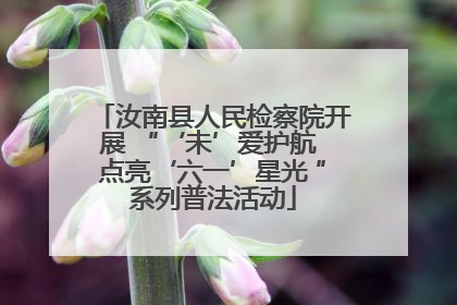 汝南县人民检察院开展 “‘未’爱护航 点亮‘六一’星光 ”系列普法活动