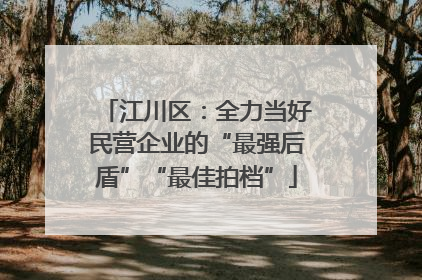 江川区：全力当好民营企业的“最强后盾”“最佳拍档”