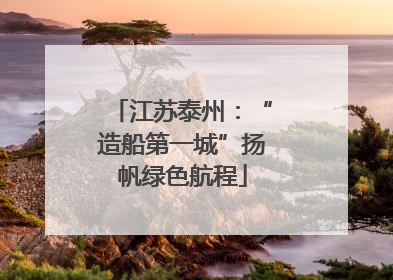 江苏泰州：“造船第一城”扬帆绿色航程