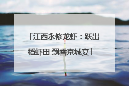 江西永修龙虾：跃出稻虾田 飘香京城宴