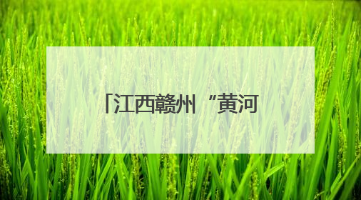 江西赣州“黄河水”引关注 省生态环境厅：已派调查组到现场核实