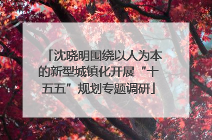 沈晓明围绕以人为本的新型城镇化开展“十五五”规划专题调研