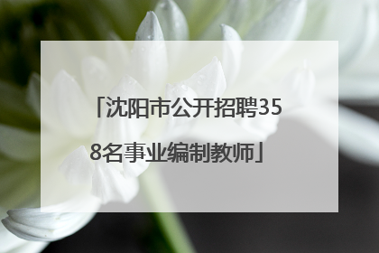 沈阳市公开招聘358名事业编制教师