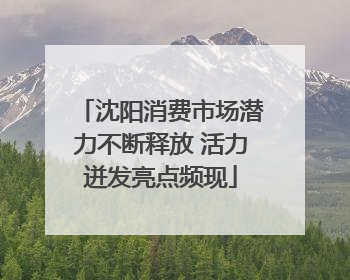 沈阳消费市场潜力不断释放 活力迸发亮点频现