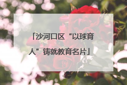 沙河口区“以球育人”铸就教育名片