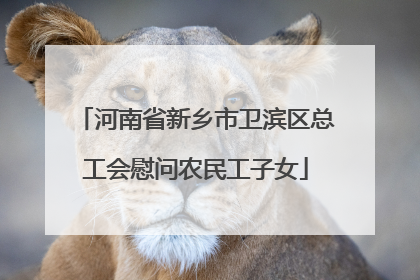 河南省新乡市卫滨区总工会慰问农民工子女