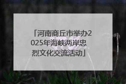 河南商丘市举办2025年海峡两岸忠烈文化交流活动
