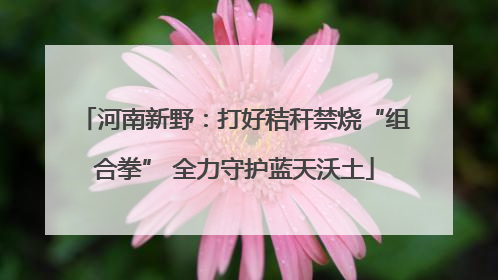 河南新野：打好秸秆禁烧“组合拳” 全力守护蓝天沃土