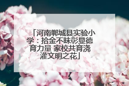 河南郸城县实验小学：拾金不昧彰显德育力量 家校共育浇灌文明之花