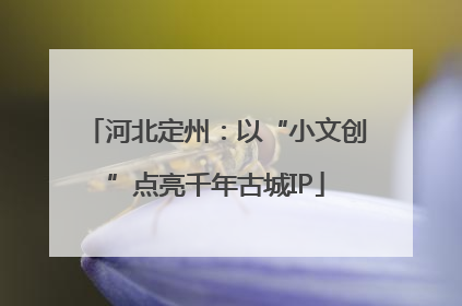 河北定州：以“小文创”点亮千年古城IP
