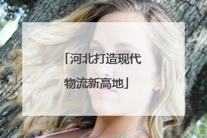 河北打造现代物流新高地