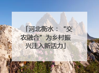 河北衡水：“交农融合”为乡村振兴注入新活力