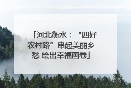 河北衡水：“四好农村路”串起美丽乡愁 绘出幸福画卷