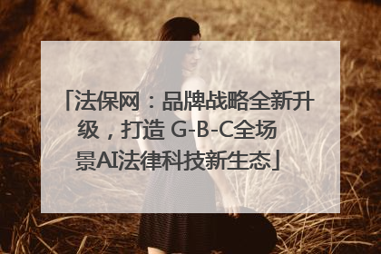 法保网：品牌战略全新升级，打造 G-B-C全场景AI法律科技新生态