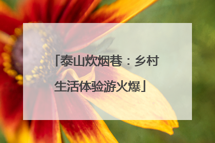 泰山炊烟巷：乡村生活体验游火爆