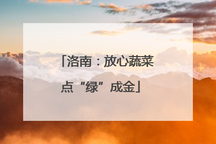 洛南：放心蔬菜点“绿”成金