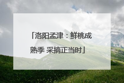 洛阳孟津：鲜桃成熟季 采摘正当时