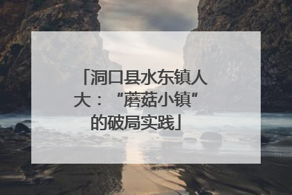 洞口县水东镇人大：“蘑菇小镇”的破局实践