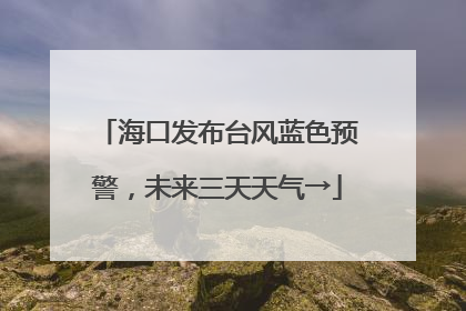 海口发布台风蓝色预警，未来三天天气→