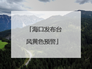 海口发布台风黄色预警