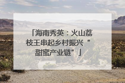 海南秀英：火山荔枝王串起乡村振兴“甜蜜产业链”