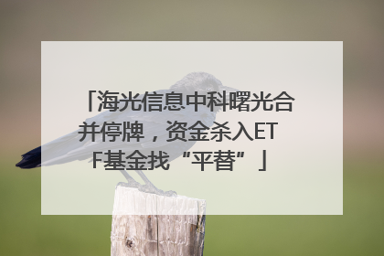 海光信息中科曙光合并停牌，资金杀入ETF基金找“平替”
