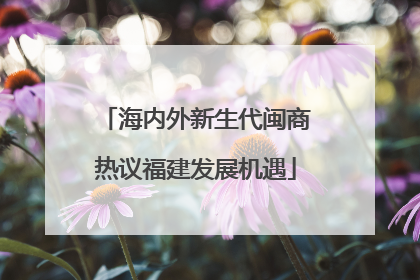 海内外新生代闽商热议福建发展机遇