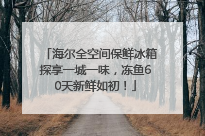 海尔全空间保鲜冰箱探享一城一味，冻鱼60天新鲜如初！