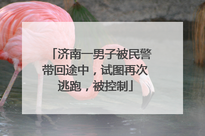 济南一男子被民警带回途中，试图再次逃跑，被控制