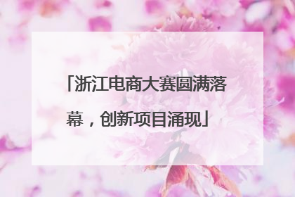 浙江电商大赛圆满落幕，创新项目涌现