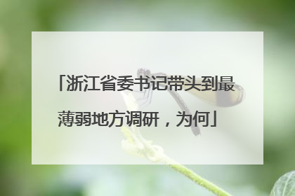 浙江省委书记带头到最薄弱地方调研，为何