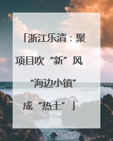 浙江乐清：聚项目吹“新”风 “海边小镇”成“热土”