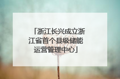浙江长兴成立浙江省首个县级储能运营管理中心