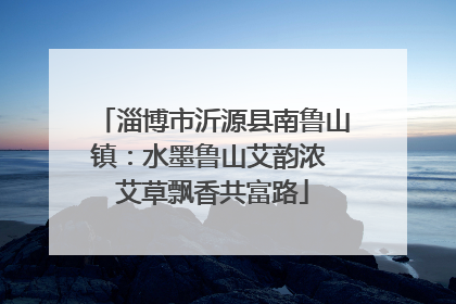 淄博市沂源县南鲁山镇：水墨鲁山艾韵浓 艾草飘香共富路