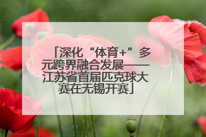 深化“体育+”多元跨界融合发展——江苏省首届匹克球大赛在无锡开赛