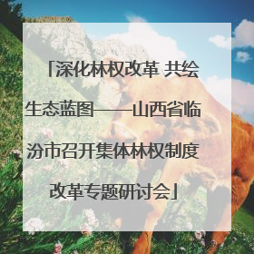 深化林权改革 共绘生态蓝图——山西省临汾市召开集体林权制度改革专题研讨会