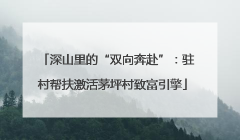 深山里的“双向奔赴”：驻村帮扶激活茅坪村致富引擎